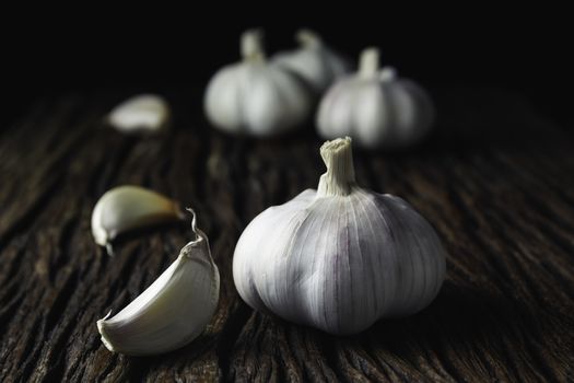 Fresh white garlic on wooden table with black background. Food and healthy concept. 