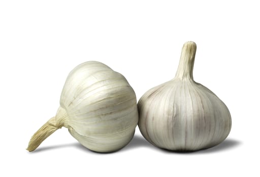 Fresh white garlic with clipping path isolated on a white background. Food and healthy concept.