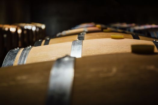 Aligned wine barrels in a cellar