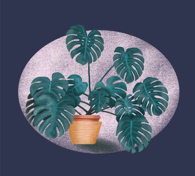 Tropical palm Houseplant illusration for design, greeting card, poster, invitation. Monstera plant in basket pot Isolated. Home eco style interior decoration. 