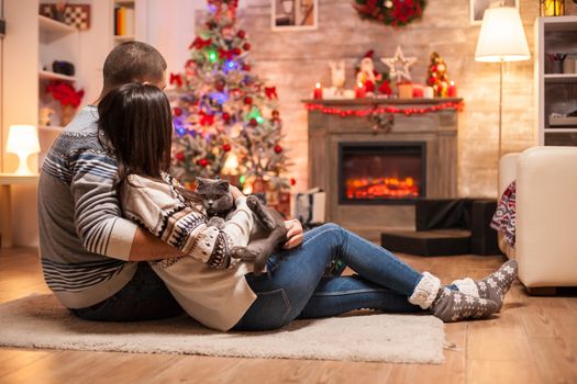 Happy couple and their scottish fold enjoying the warmth of the fireplace on christmas day.