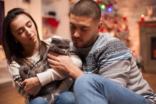 Cheerful couple playing with their cat on christmas day.