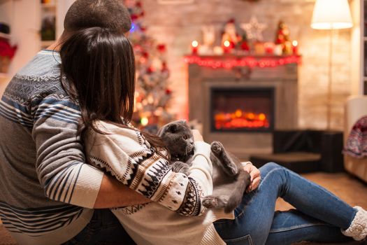 Loving couple and their scottish fold celebrating christmas enjoying the warm of fireplace.