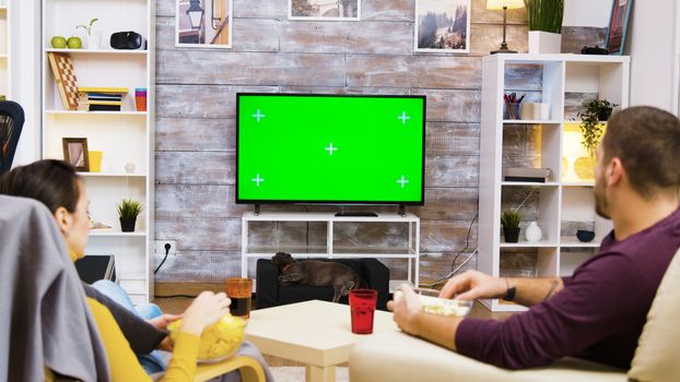 Caucasian couple sitting on chairs looking at tv with green screen with the cat in front of him.