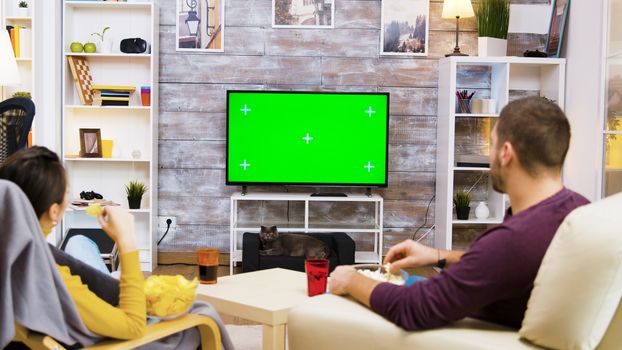 Back view of couple watching tv at home green screen, eating popcorn and the cat looking at them.