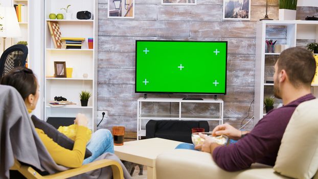 Back view of couple sitting on chair talking in front of tv with green screen while the cat is walking in the room.