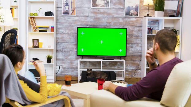 Back view of couple watching tv at home green screen, eating popcorn and the cat looking at them.