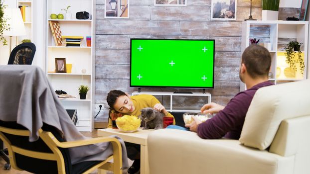 Sequence of young girl playing with her cat in front of tv with green screen. Boyfriend sitting on chair eating popcorn.