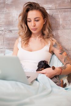 Attractive woman in pajamas browsing on laptop in bed and playing with her little dog.