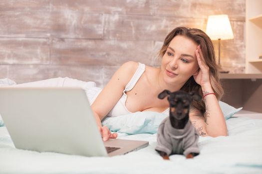 Caucasian woman in pajamas in her bed at night using laptop. Cute little dog.
