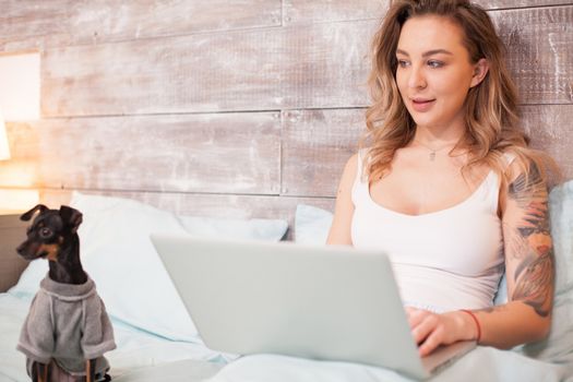 Beautiful young woman working late on her laptop wearing pajamas near her little dog.