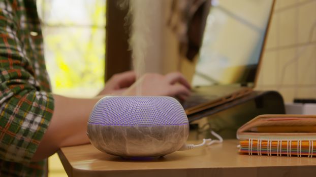 Essential oil diffuser on the table and freelancer woman working on modern laptop in the background