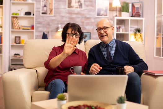 Elderly old couple using modern laptop to chat with their grandson. Grandmother and grandfather using modern technology