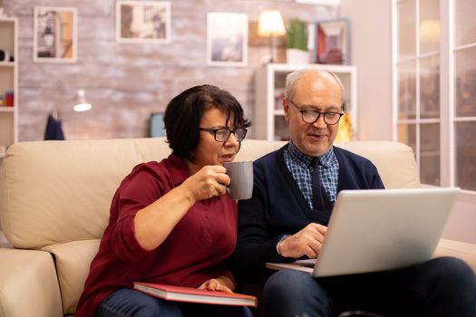 Grandmother and grandfather using a laptop to chat with their grandsons. Old people using modern technology