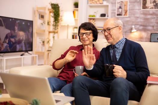 Elderly old couple using modern laptop to chat with their grandson. Grandmother and grandfather using modern technology