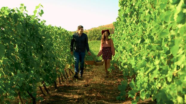 Caucasian couple with baskets of grapes walking in vineyard. Romantic date and rural lifestyle.