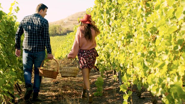 Back view of beautiful caucasian couple walking in vineyard with two baskets of grapes in hands.