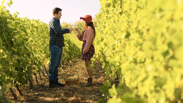 Caucasian couple clinking glasses in a vineyard and tasting wine. Dolly slide shot.