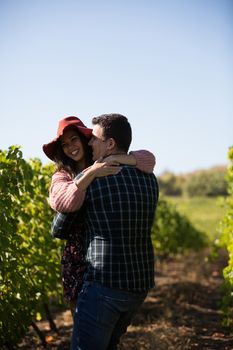 Beautiful young couple having a sweet moment between rows of vineyard. Loving couple in a green vinyard.