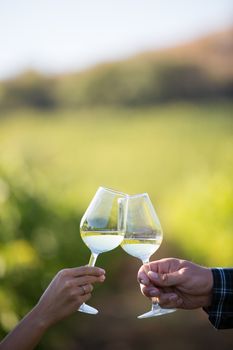 Two hands holding glasses with white wine on the vineyard background. Great wine.