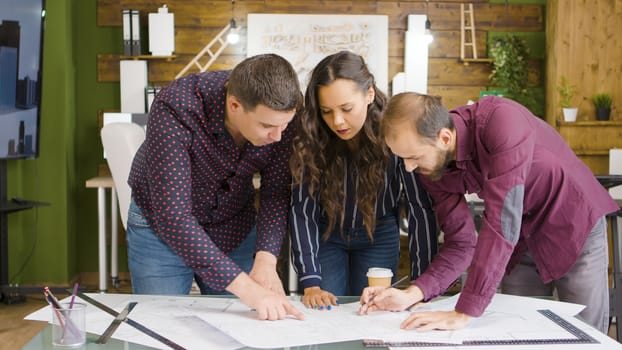In modern and cozy office team of architects and designers are working on a new project
