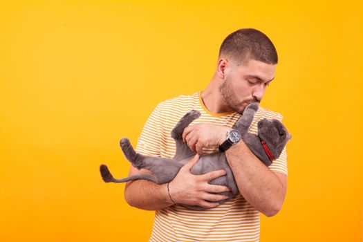 Attractive young man holding in his arms adorable cat. Man hugging his cat.