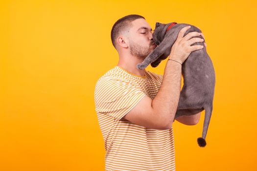 Attractive young man holding and kissing his adorable cat. Man showing affection to his cat,