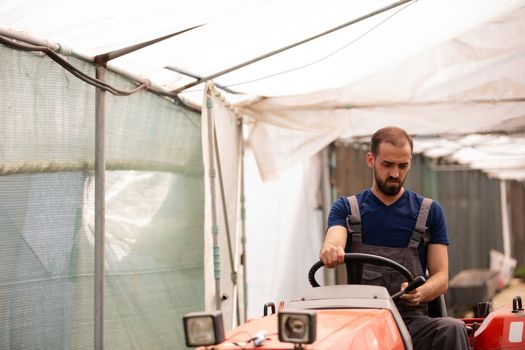 Farmer sitting on a tractor in sunny day in a greenhouse. Rural activity