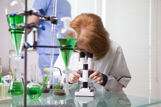 Middle age scientist adjusting her microscope to start scientific tests on plants. Research lab for health.