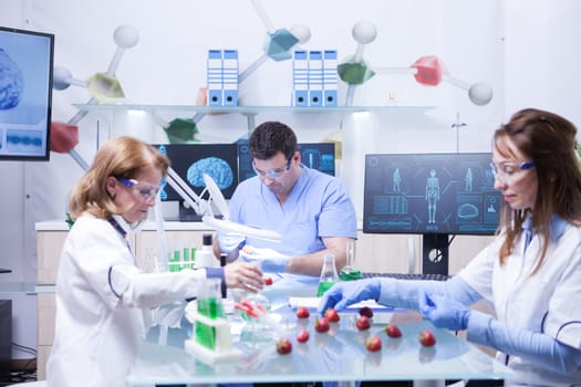 Team of biochemist work with genetically modified strawberry fruits research lab. Agriculture research.