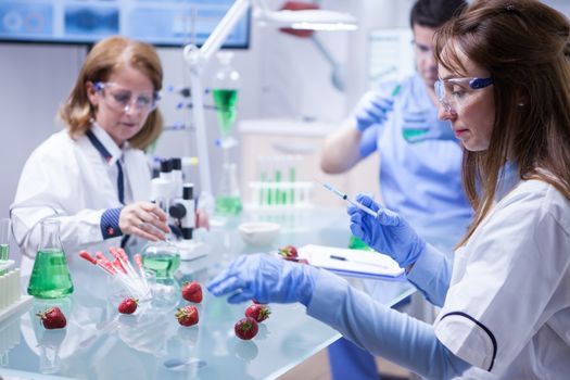 Side view middle age female scientist doing test on strawberries in a research lab. Gentic test on strawberries.