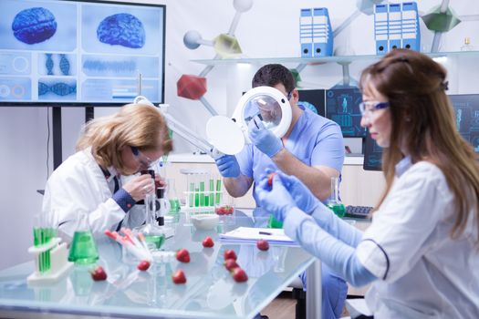 Team of researchers people testing strawberry fruits studying in laboratory room. Female scientist looking through a microscope.