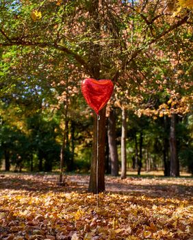 red balloon flies in the autumn park against the background of fallen yellow foliage and trees