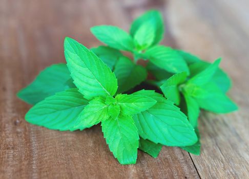 Closeup fresh mint on wood table background, herb and medical concept, selective focus
