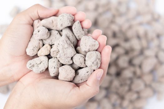 Closeup hand holding pumice stone or volcanic rocks on white background for cactus plant