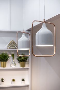 A pair of rose gold and white light fixtures in front of a white wall background with shelving and green plants.
