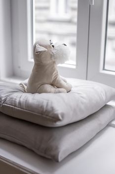 Beige plush puppy sitting on pillows, looking out the window.