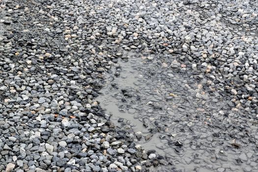 The ground is rocky in a little pond.