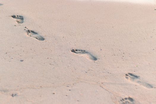 ootprints in the sea sand
