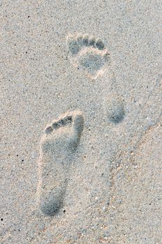 footprints in the sand