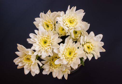 bouquet of white chrysanthemum  on black background