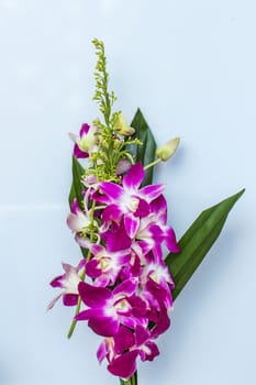 bouquet of purple orchids on white background