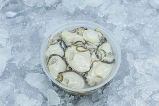 a bow of fresh raw oyster on ice