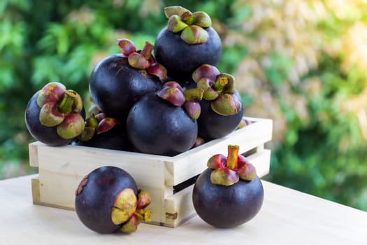 Mangosteen - The Queen of Tropical Fruit, dark-purple skin and creamy white fruit flash on wooden table