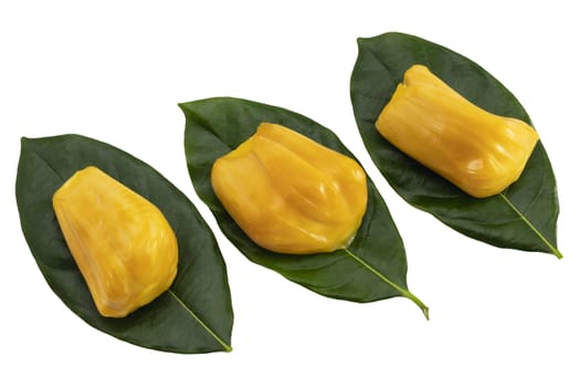 Jackfruit yellow fruit flesh on green jackfruit leaf isolate on