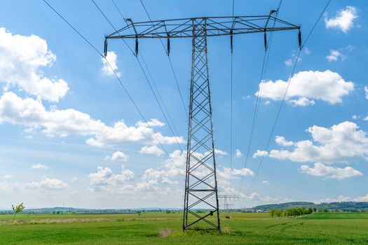 high voltage wires over a field with farm plants.