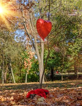 red balloon flies in the autumn park against the background of fallen yellow foliage and trees