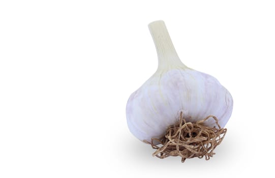 Fresh garlic isolated on white background