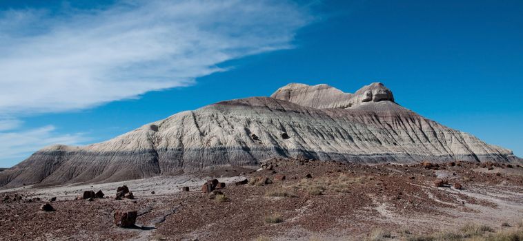 Petrified logs lay around a mesa in the painted desert.