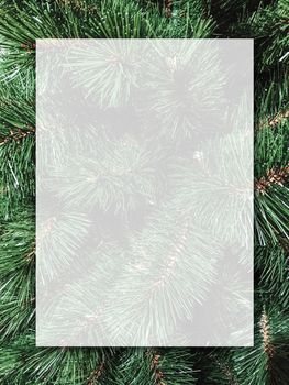 Christmas background design of blank white transparent board on xmas tree